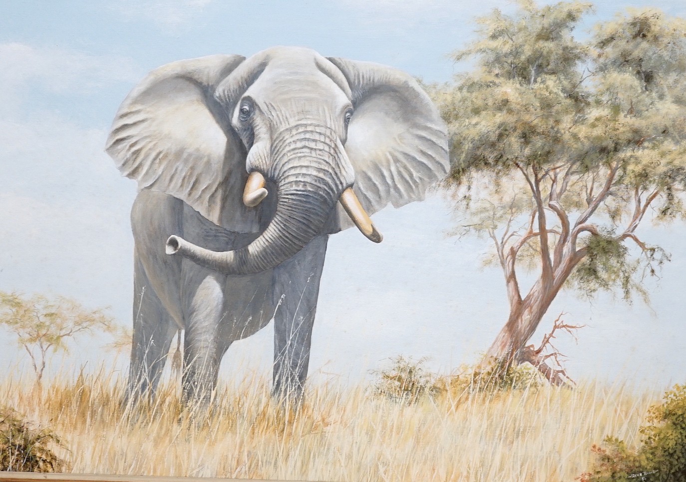 Peter Bruce (b.1949), oil on canvas board, 'Bull Elephant', signed and dated '84, 68 x 98cm